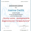 Powiększ obraz: certificate 8