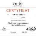 Powiększ obraz: certificate 5
