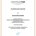 Powiększ obraz: certificate 1