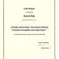Powiększ obraz: certificate 5