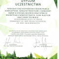 Powiększ obraz: certificate 12