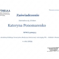 Powiększ obraz: certificate 11
