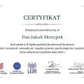 Powiększ obraz: certificate 2