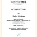 Powiększ obraz: certificate 2