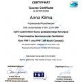 Powiększ obraz: certificate 9