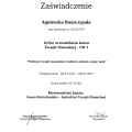 Powiększ obraz: certificate 1