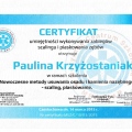 Powiększ obraz: certificate 5