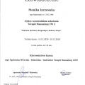 Powiększ obraz: certificate 4