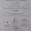 Powiększ obraz: certificate 22