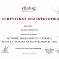 Powiększ obraz: certificate 11