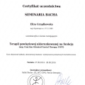 Powiększ obraz: certificate 13