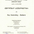 Powiększ obraz: certificate 23