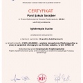 Powiększ obraz: certificate 19