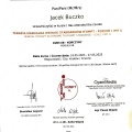 Powiększ obraz: certificate 4