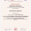 Powiększ obraz: certificate 15
