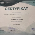 Powiększ obraz: certificate 9