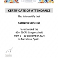 Powiększ obraz: certificate 2