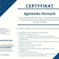 Powiększ obraz: certificate 1