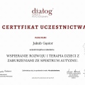 Powiększ obraz: certificate 3
