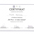 Powiększ obraz: certificate 42