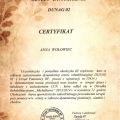 Powiększ obraz: certificate 6
