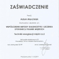 Powiększ obraz: certificate 21