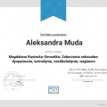 Powiększ obraz: certificate 20