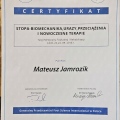 Powiększ obraz: certificate 11