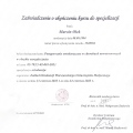 Powiększ obraz: certificate 13