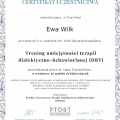 Powiększ obraz: certificate 2