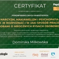 Powiększ obraz: certificate 3