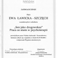 Powiększ obraz: certificate 5