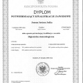 Powiększ obraz: certificate 1
