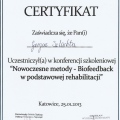 Powiększ obraz: certificate 6