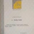 Powiększ obraz: certificate 9