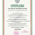 Powiększ obraz: certificate 2
