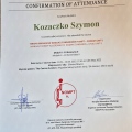 Powiększ obraz: certificate 9