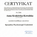 Powiększ obraz: certificate 1
