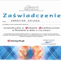 Powiększ obraz: certificate 1