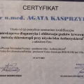 Powiększ obraz: certificate 48