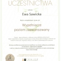 Powiększ obraz: certificate 29