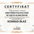Powiększ obraz: certificate 22