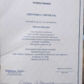 Powiększ obraz: certificate 1