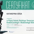 Powiększ obraz: certificate 13