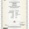 Powiększ obraz: certificate 1