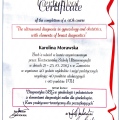 Powiększ obraz: certificate 3