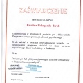 Powiększ obraz: certificate 2