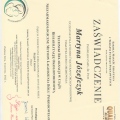 Powiększ obraz: certificate 16