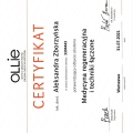 Powiększ obraz: certificate 11
