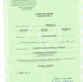 Powiększ obraz: certificate 7